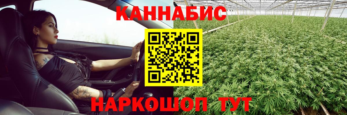 Шишки марихуана семена Улан-Удэ